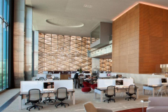KAUST-8image12